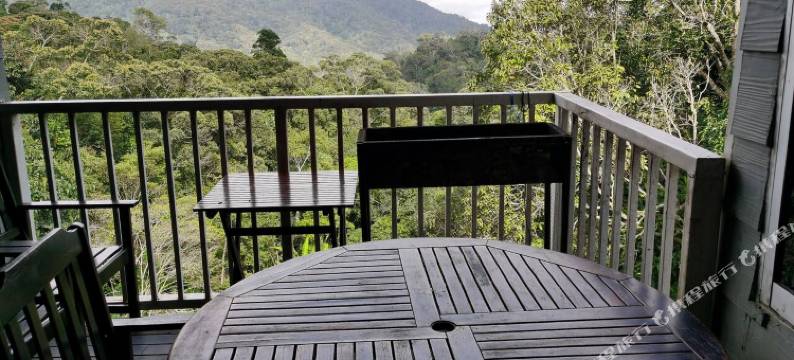 凯撒广场酒店(Ceaser's Place)图片