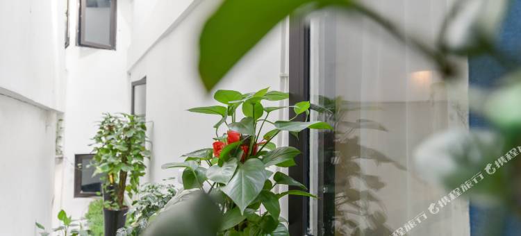 格林豪泰贝壳酒店(上海徐家汇美罗城八万人体育馆地铁站店)图片