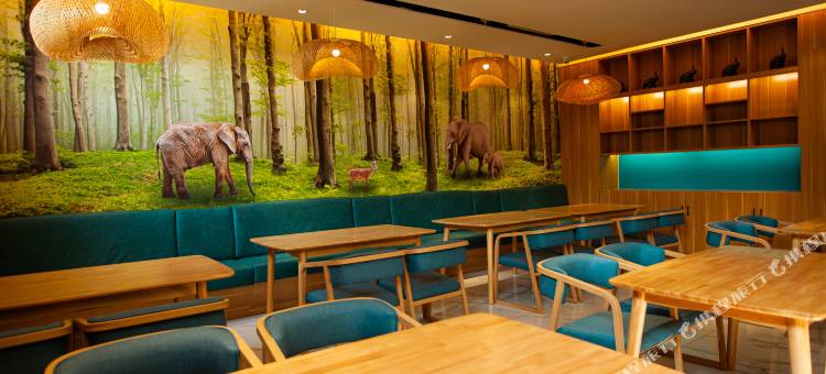 社旗印象艺术酒店图片