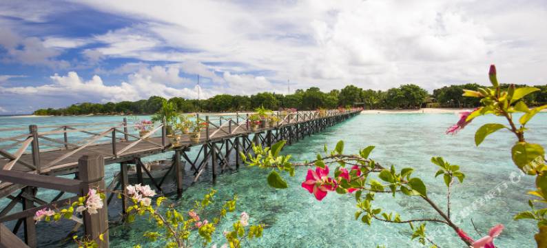 邦邦岛度假村(POM POM Island Resort)图片
