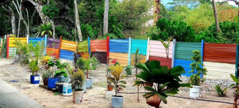 托尼旅馆(Tony’s Guesthouse at Teluk Bahang)图片