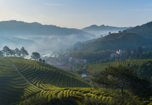 武夷山嘉叶山舍（福莲茶庄园店）外景图