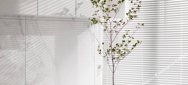 松阳DNA美学民宿图片