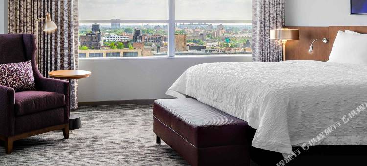 芝加哥麦考密克广场希尔顿花园酒店(Hilton Garden Inn Chicago McCormick Place)图片