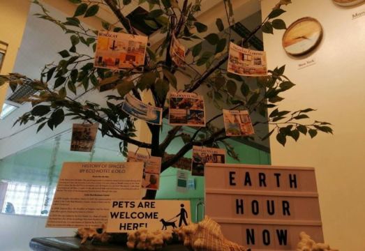 The New View by Ecotel Hotel Overview