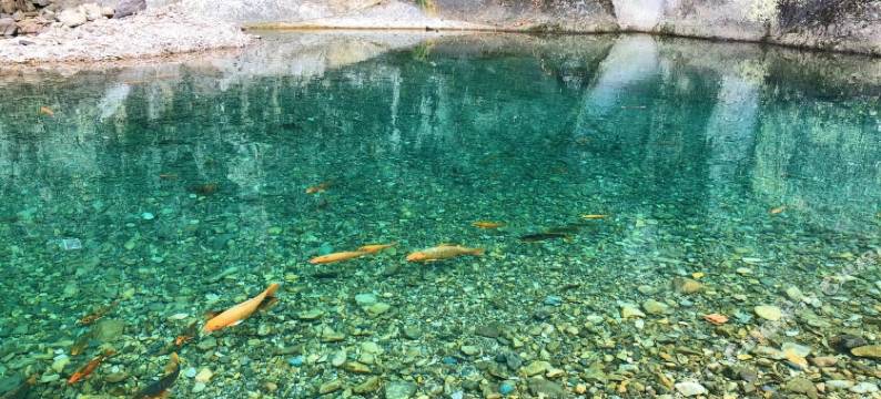 仙居叶宅客栈图片