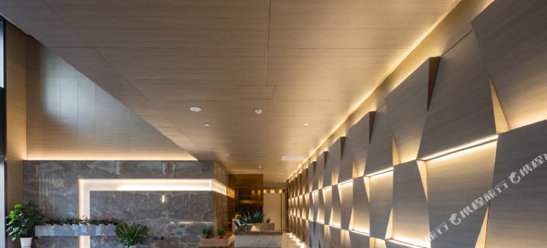 海口卓庭公寓图片