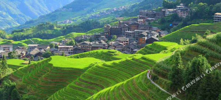 龙脊梯田一棵树友缘阁民宿图片