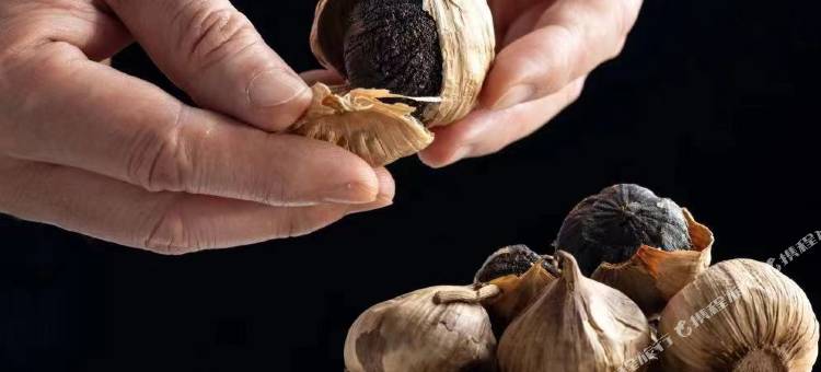 南京鼓楼晶丽酒店图片