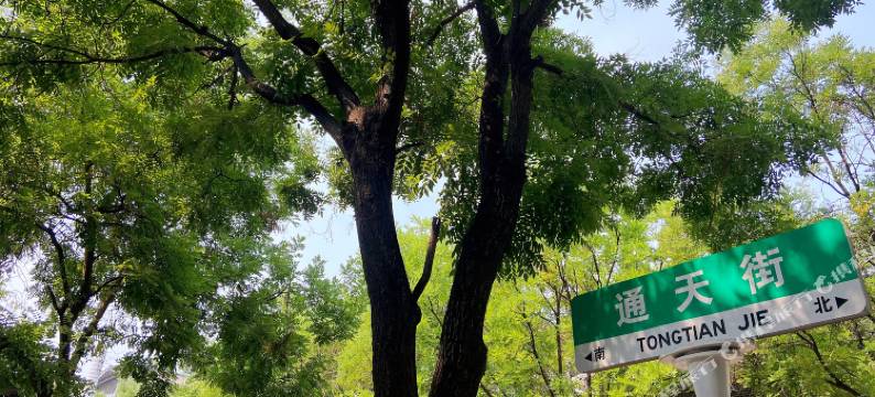 泰城往事青年旅舍(泰安岱庙店)图片