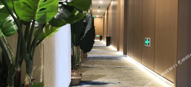 成都睡眠盒子精品酒店宽窄巷子店图片