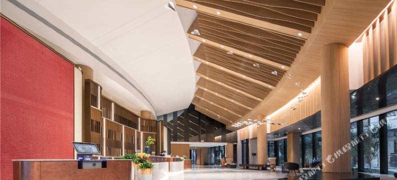 天府空港悦享酒店(天府机场店)图片