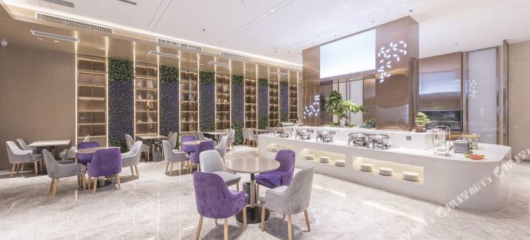 麗枫酒店(登封嵩山少林文旅服务中心店)图片