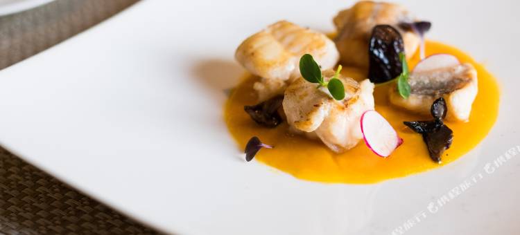 维罗纳CTC贝斯特韦斯特酒店(Best Western CTC Hotel Verona)图片