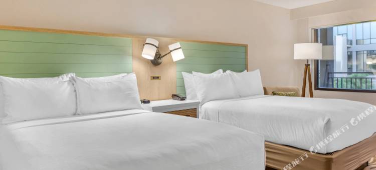 布埃纳维斯塔湖迪士尼清泉温德姆花园酒店(Wyndham Garden Lake Buena Vista Disney Springs® Resort Area)图片