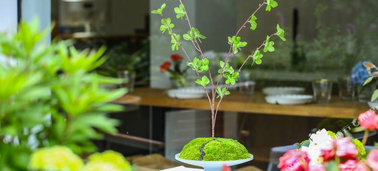 杭州霁月庐民宿(西湖太子湾店)图片