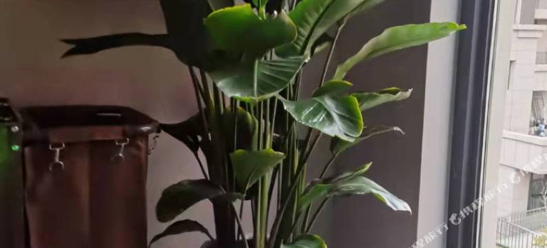 千汇商务宾馆(齐齐哈尔鹤城公园店)图片