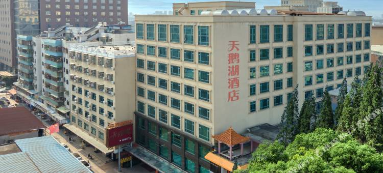 天鹅湖酒店(东莞常平火车站店)图片