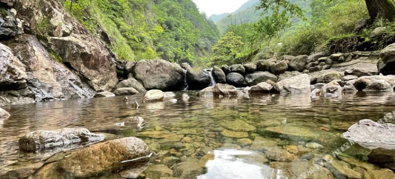 桐庐白云源梅景园民宿图片