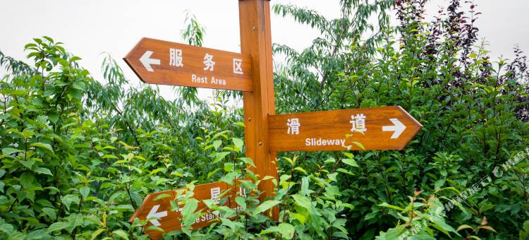 邢台九龙峡神龙山吧民宿图片