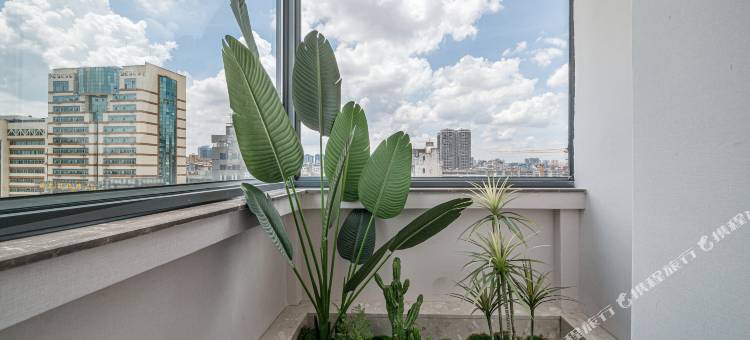 多曼·青悦酒店(南宁火车站明秀路地铁站店)图片