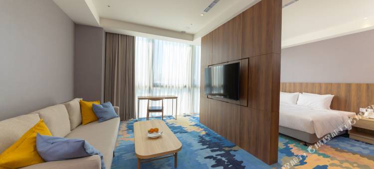 震大金郁金香酒店图片