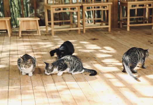 Laojunshan Nuanfeng December Homestay Hotel Overview