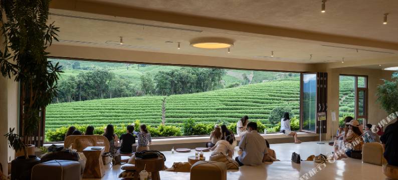 望茶谷·安吉茶山view轻奢度假美墅(白茶观景平台店)图片