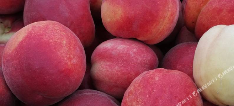 云顶人家民宿图片