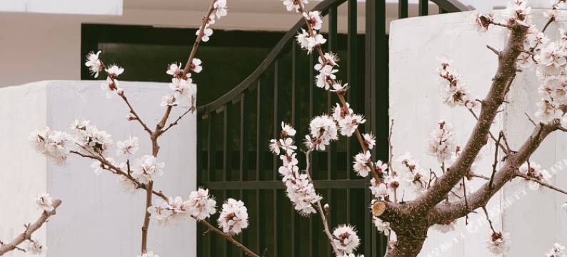 山野初见乡村酒店图片