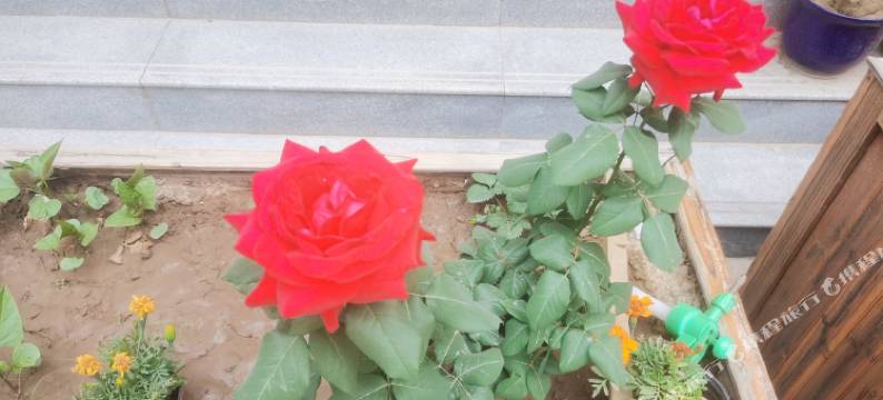 灵石温馨之家民宿图片