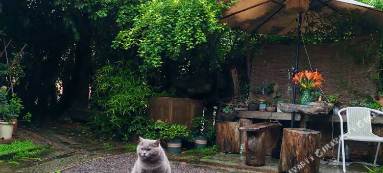 熊熊部落民宿(龙虎山店)图片
