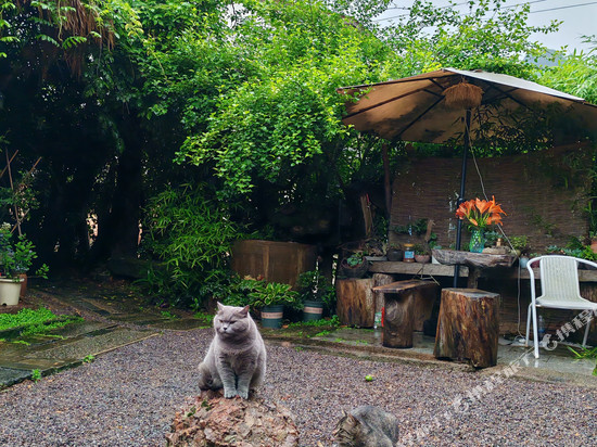 熊熊部落民宿(龙虎山店)