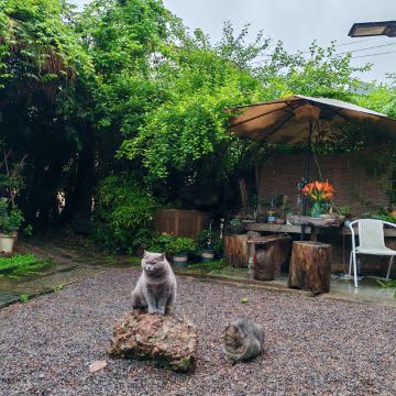 熊熊部落民宿(龙虎山店)图片