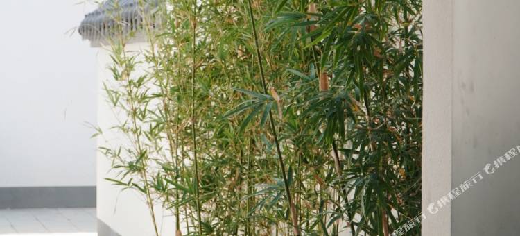 商河孟里悦·温泉人家民宿图片