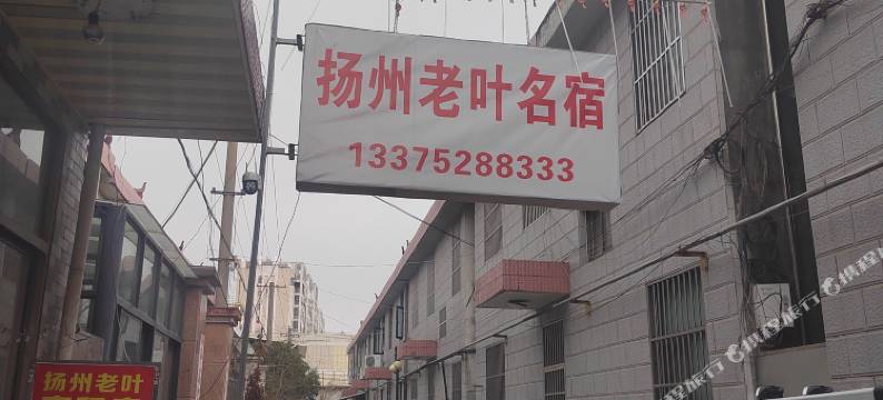 扬州老叶名宿图片