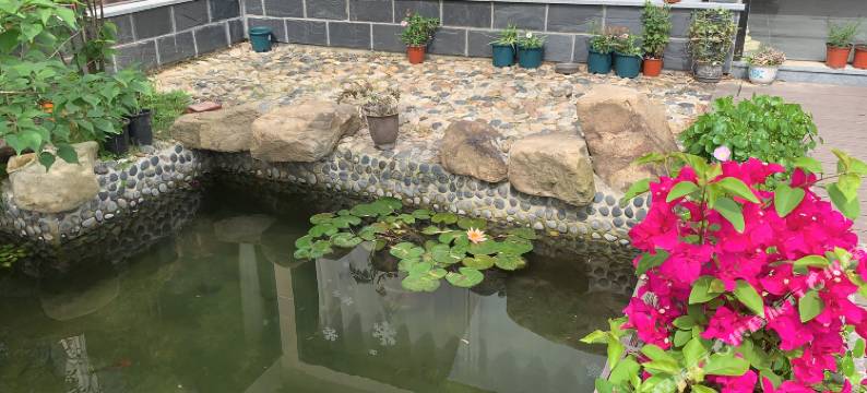 湖州小茶民宿图片