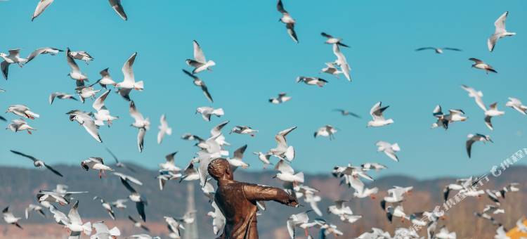 花筑·昆明云上轩民宿(滇池海埂大坝店)图片