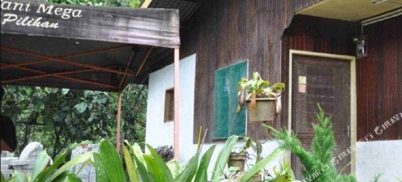 哥打柏露塔纳克纳布鲁民宿(Tanak Nabalu Homestay Kota Belud)图片