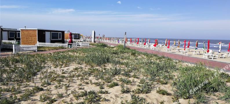 乐亭碧海浴场酒店图片