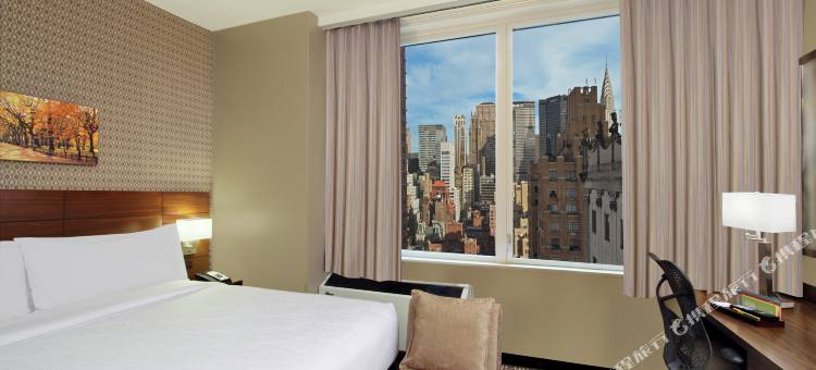 纽约/中城公园大道希尔顿花园酒店(Hilton Garden Inn New York/Midtown Park Avenue)图片