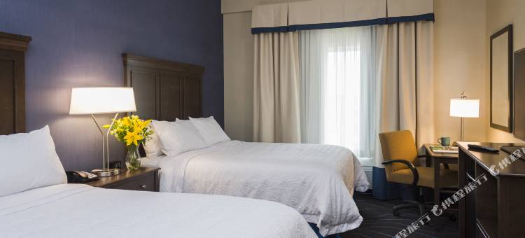 渥太华机场希尔顿欢朋酒店(Hampton Inn by Hilton Ottawa Airport)图片