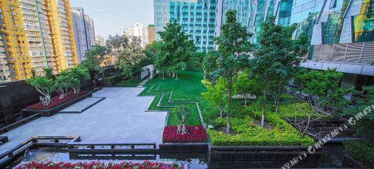 北京希尔顿逸林酒店图片