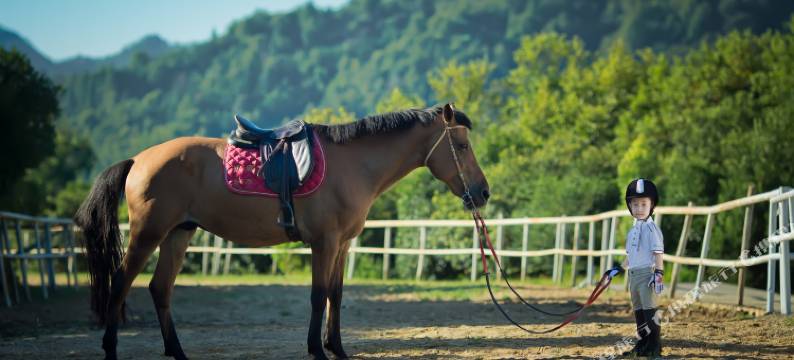 婺源厚塘庄园图片