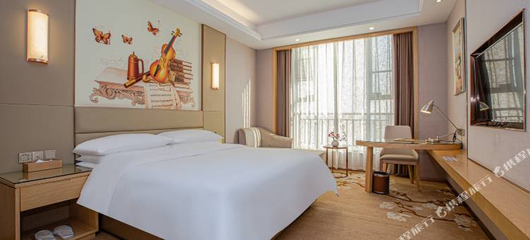 维也纳国际酒店(南昌青山湖万达李巷地铁站店)图片