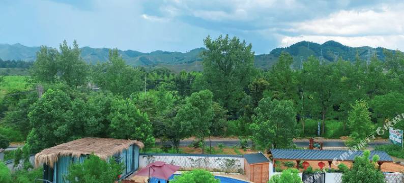 茶言观舍·安吉茶坞亲子美宿图片