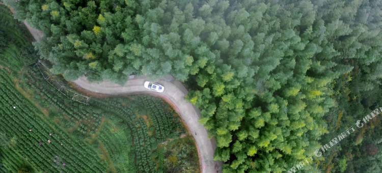 磐安磐山云隐民宿·云栖图片
