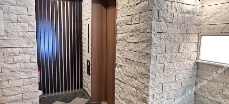 一游浅草民宿 #302(louse stage ichiyu Asakusa #302)图片