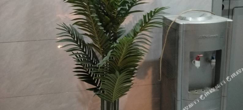 安阳遇见民宿(安阳万达广场店)图片