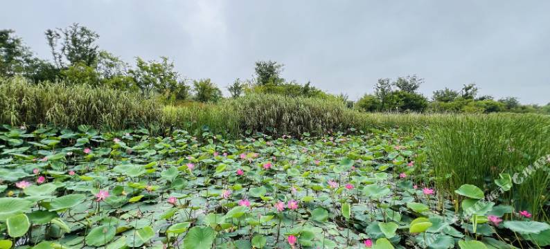 东亭·鹤汀云栖潮间带文学村酒店图片